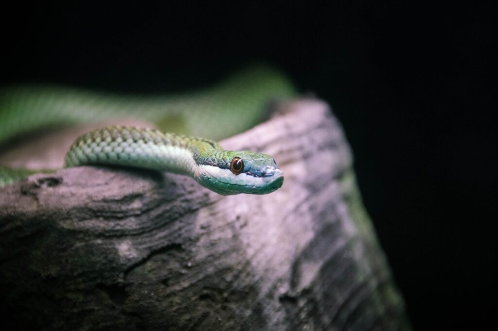 クレカは何枚持っていると便利なのか？