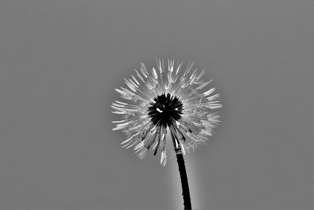 JCBカードWのポイント活用術で得られるお得な特典は？