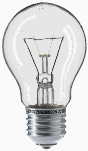 JCBカードWを使ったディズニーでのポイント優待はどのように利用できる？