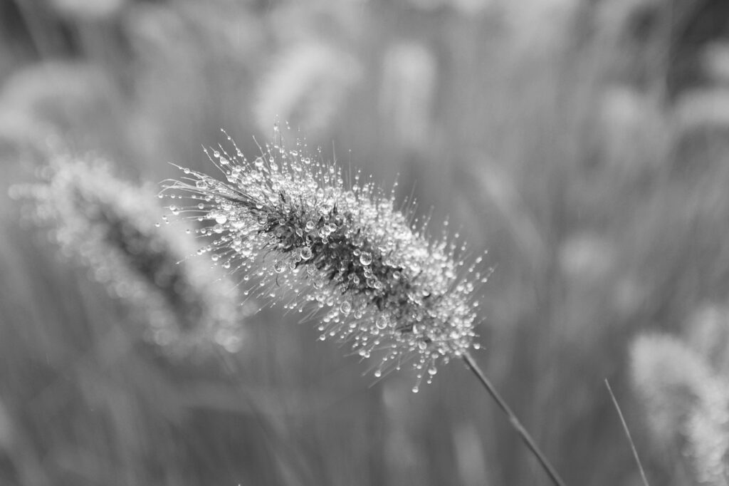 au PAYカードとau携帯の料金で貯まるポイントの活用法は？