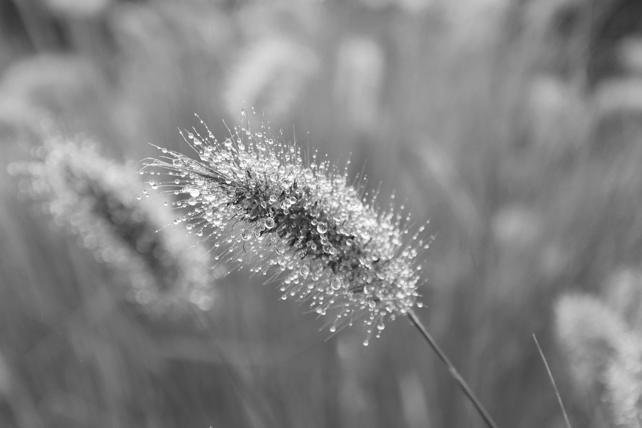 au PAYカードとau携帯の料金で貯まるポイントの活用法は？