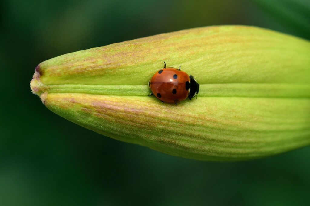ポイントの値引き効果を最大限に引き出す方法は？