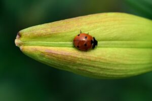 ポイントの値引き効果を最大限に引き出す方法は？