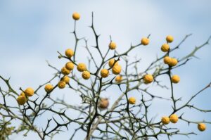 後悔した理由を知って、未来を変えるためには何が必要ですか？