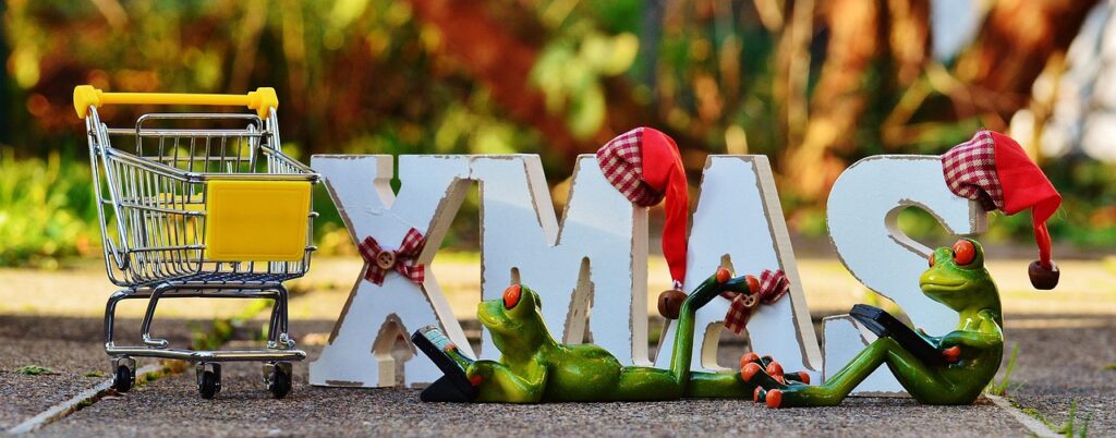 楽天カードを使ったネットショッピングで得られるポイントの活用法は？