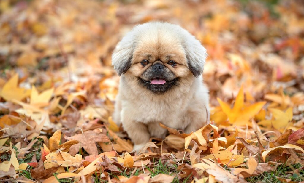 審査が通りやすいローンを選ぶためのポイントは？