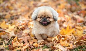 審査が通りやすいローンを選ぶためのポイントは？