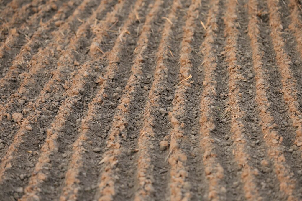 年会費無料で高還元のクレジットカードはどれがおすすめ？