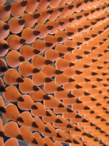 JCBカードのポイント交換先にはどんな選択肢がある？