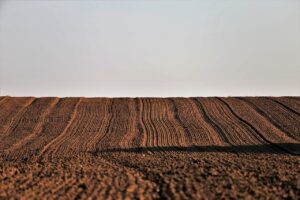 スーパー還元率の比較でお得な買い物をする方法は？